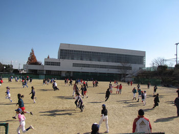 IMG_6647.jpg